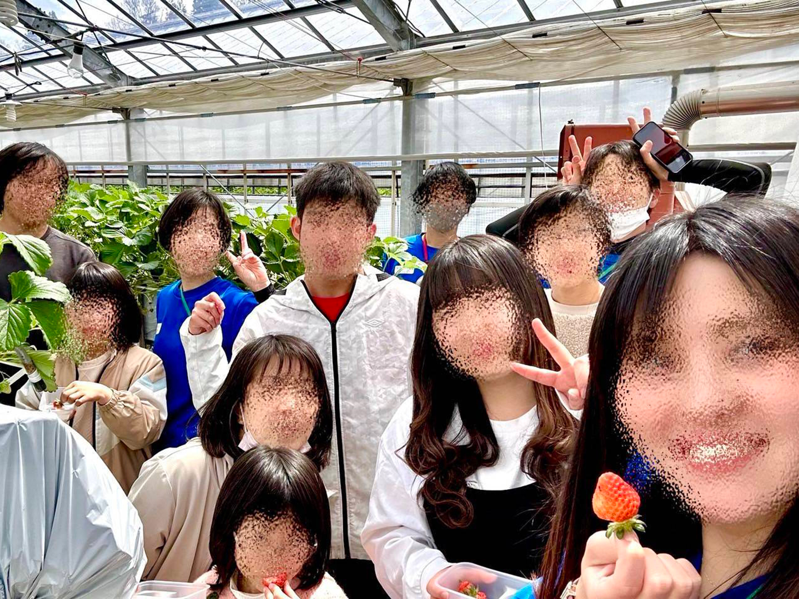 活動の様子の写真1